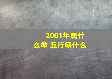 2001年属什么命 五行缺什么